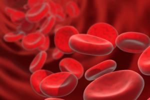 Bloodborne-pathogen-cells