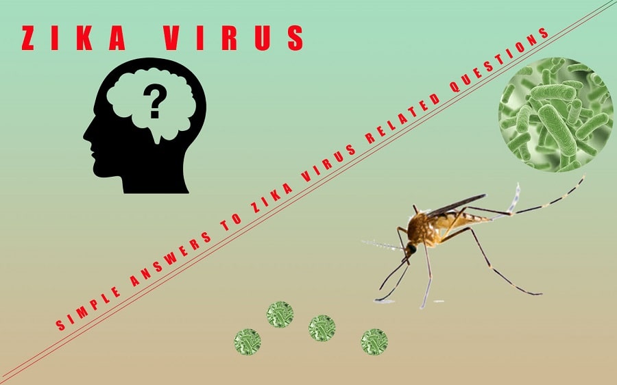 zika virus answers