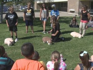 Online CPR and BLS Classes and Certification